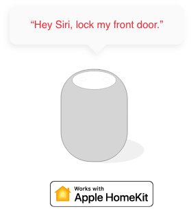 Works with apple home kit voice commands